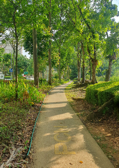 Bukit Batok East Park Connector