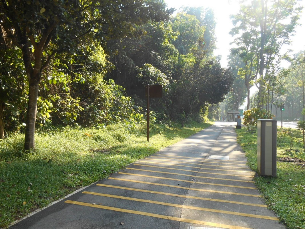 Bukit Timah Park Connector