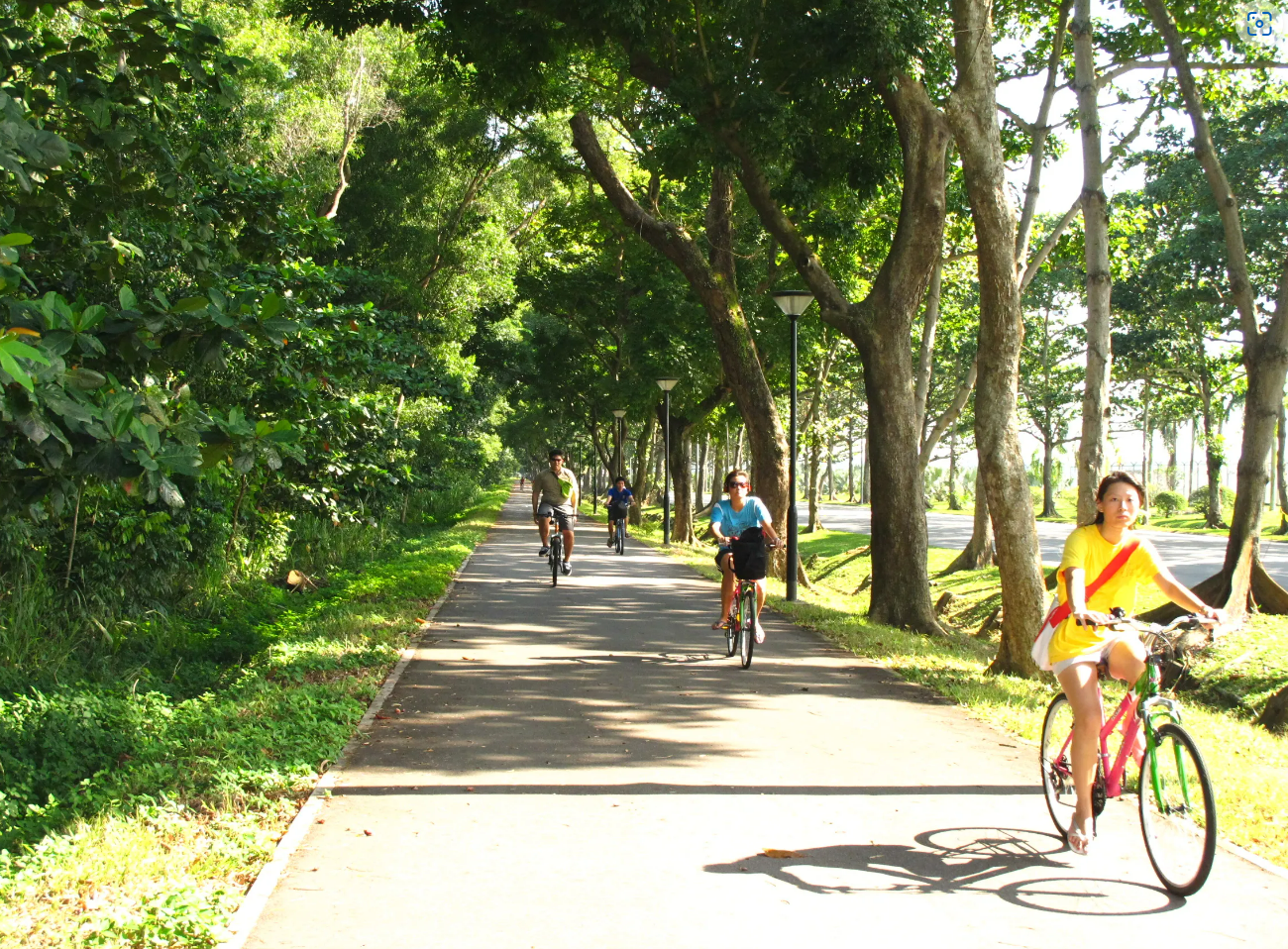 Coastal Park Connector