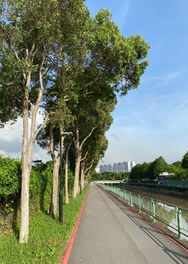 Jurong Park Connector